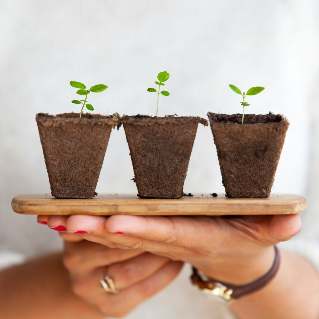 Why Medication and Therapy Work Best Together