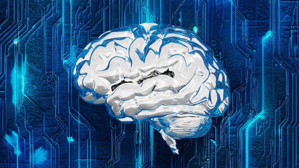 Understanding Neuroplasticity and Your Brain
