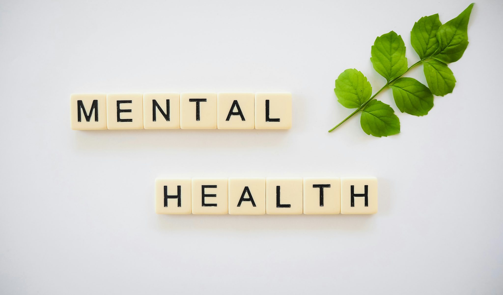 A Guide to Navigating Mental Healthcare