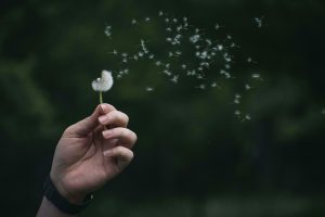 How to Let Go of Things You Cannot Control