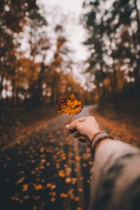 How Major Life Events Impact Your Mental Health