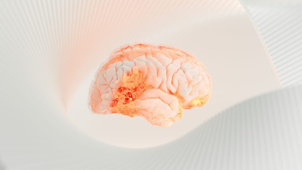 The Impact of Chronic Stress on Your Brain