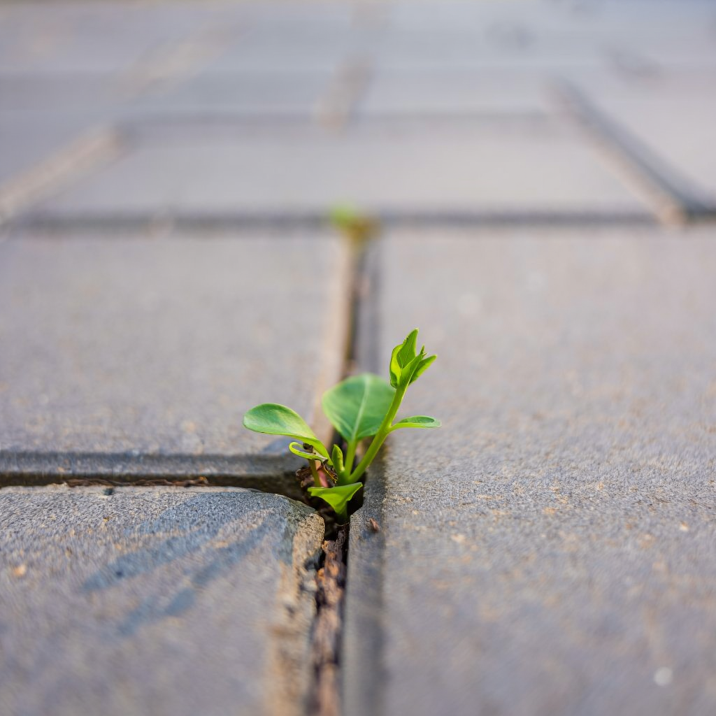 What Growth Actually Feels Like (It's Not What You Think)