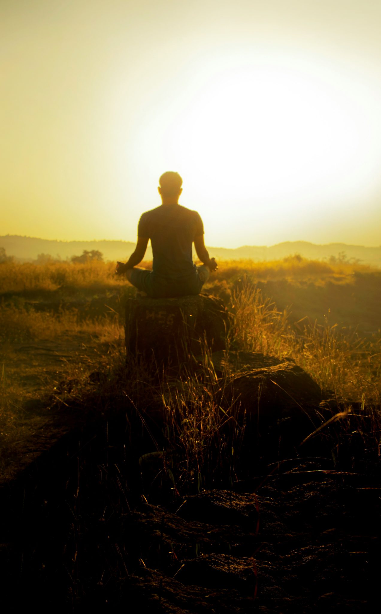 Spiritual Wellness and Mental Health: Finding Your Path