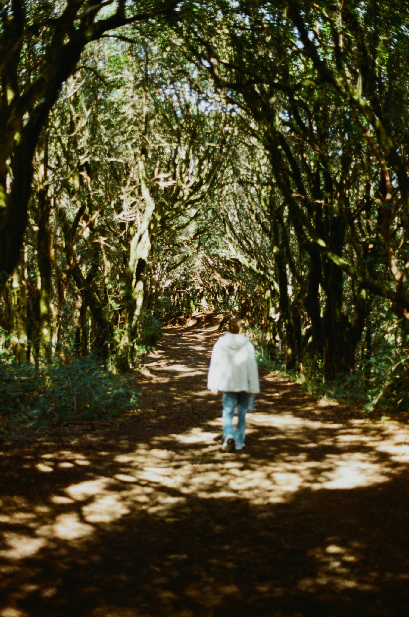 How to Honor Your Hesitation While Still Moving Forward